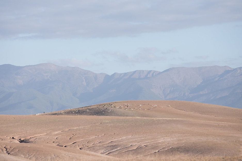 Agafay Desert, Morocco