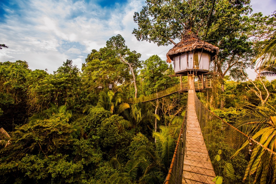 Treehouse Lodge Iquitos suspended bridge leading to the bungalow