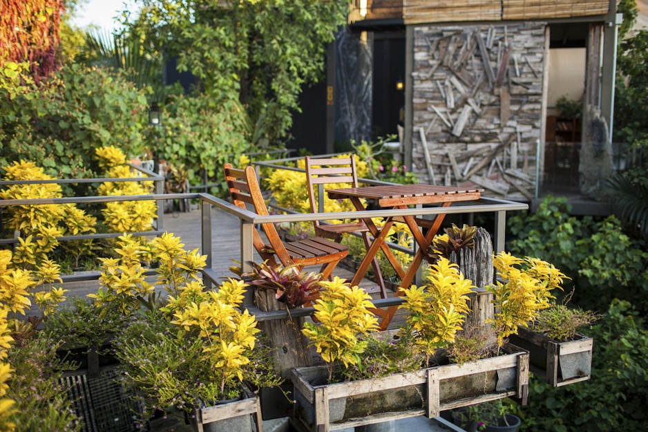 Bangkok Tree House rooftop balcony