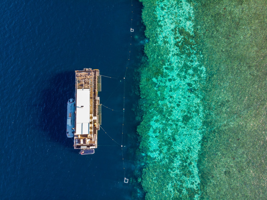 Reefsuites Hotel Next To Coral Reefs