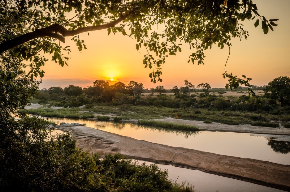 Singita Private game reserve