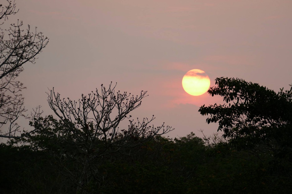 Soberanía National Park Sunset