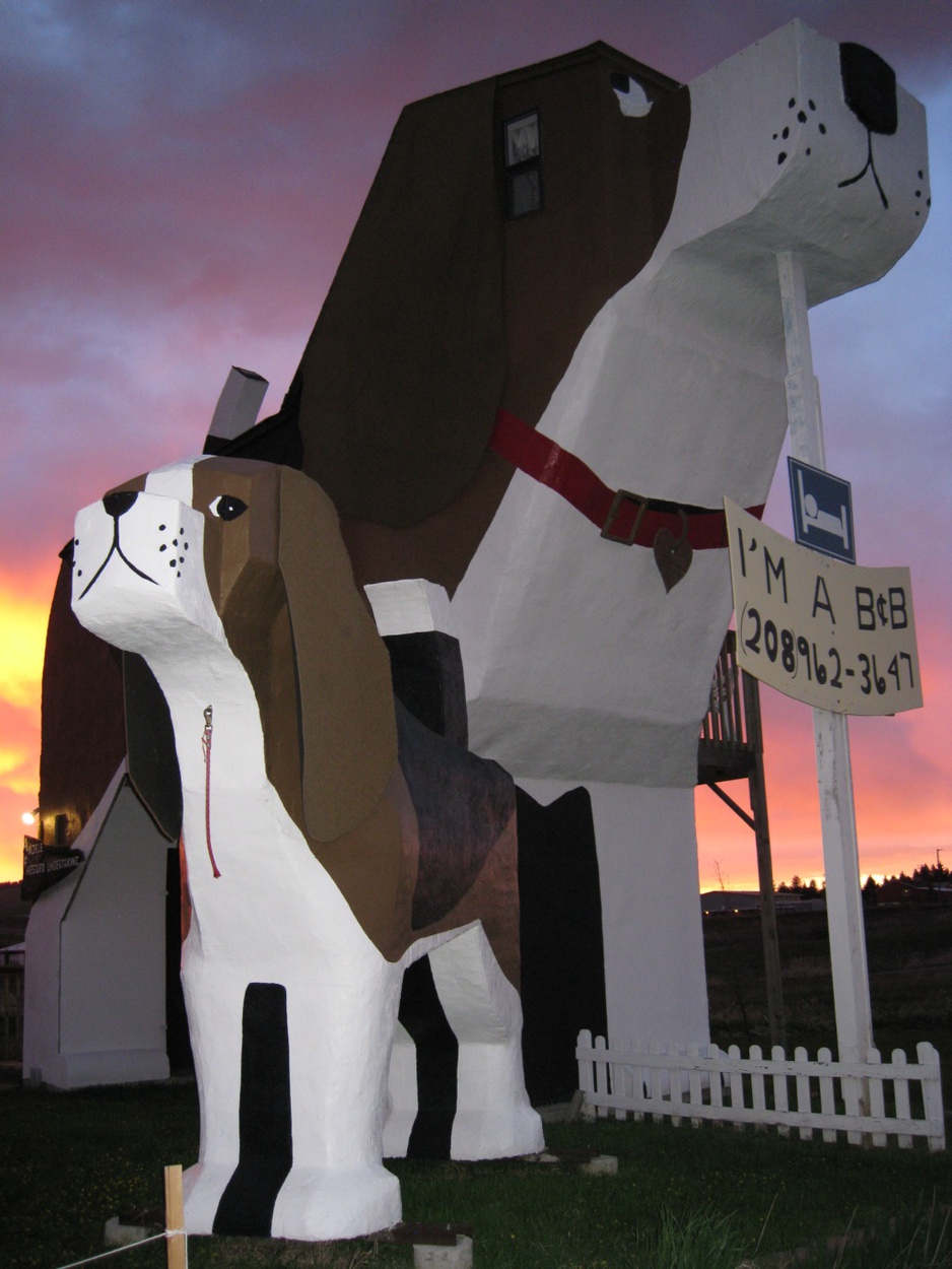 Dog-shaped wooden house hotel