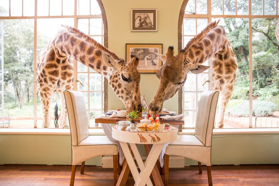 Giraffe Manor Dining