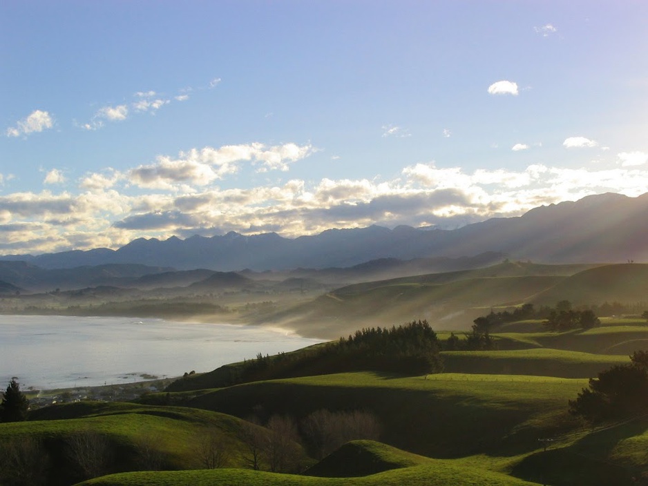 Kaikoura nature