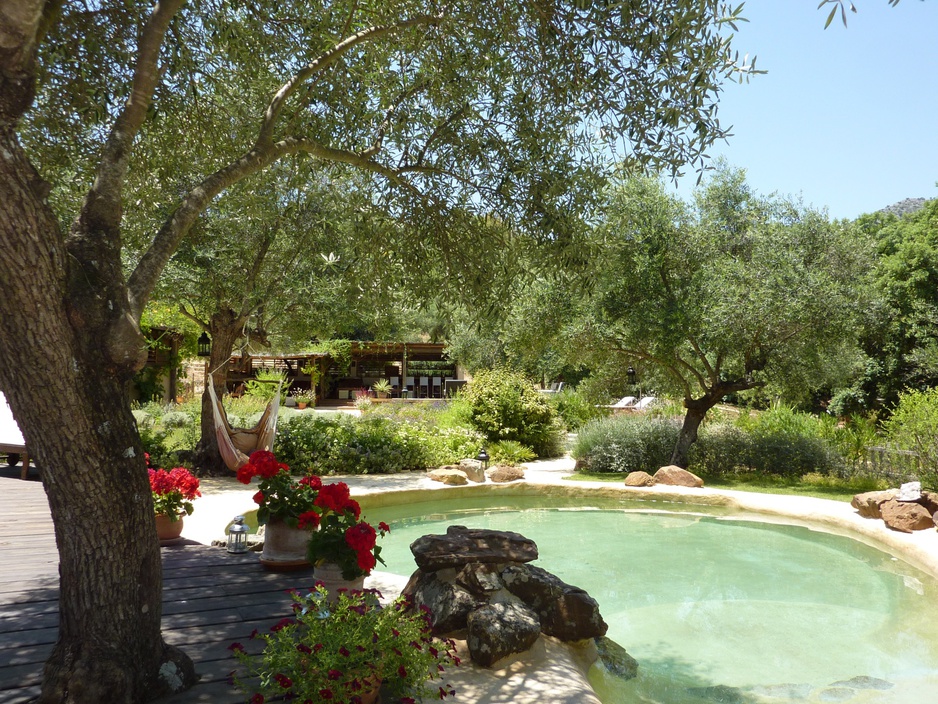 The Hoopoe Yurt Hotel pool