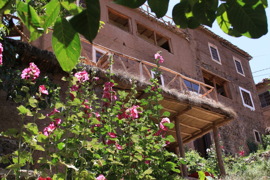 Flowers and Douar Samra building