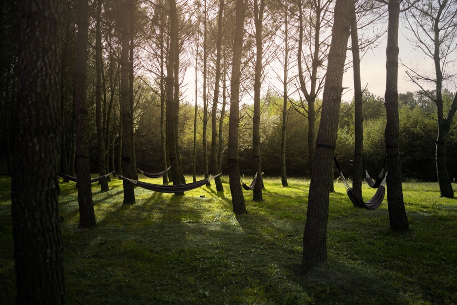 Lost in Sensations Hotel Forest Hammocks