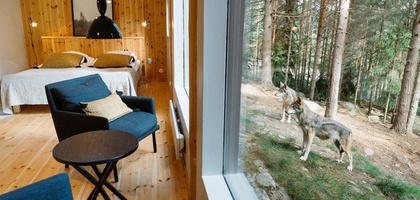 Vildriket Varghotell - The Wolf Hotel in Sweden's Wildlife Park