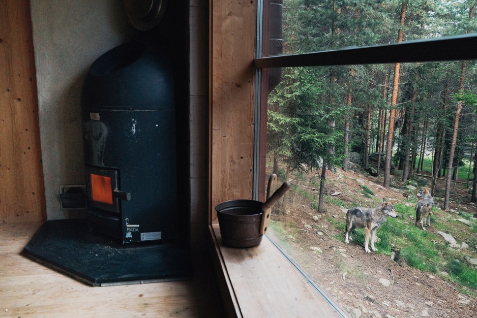 The Wolf Hotel Sauna with a Huge Window to See the Animals