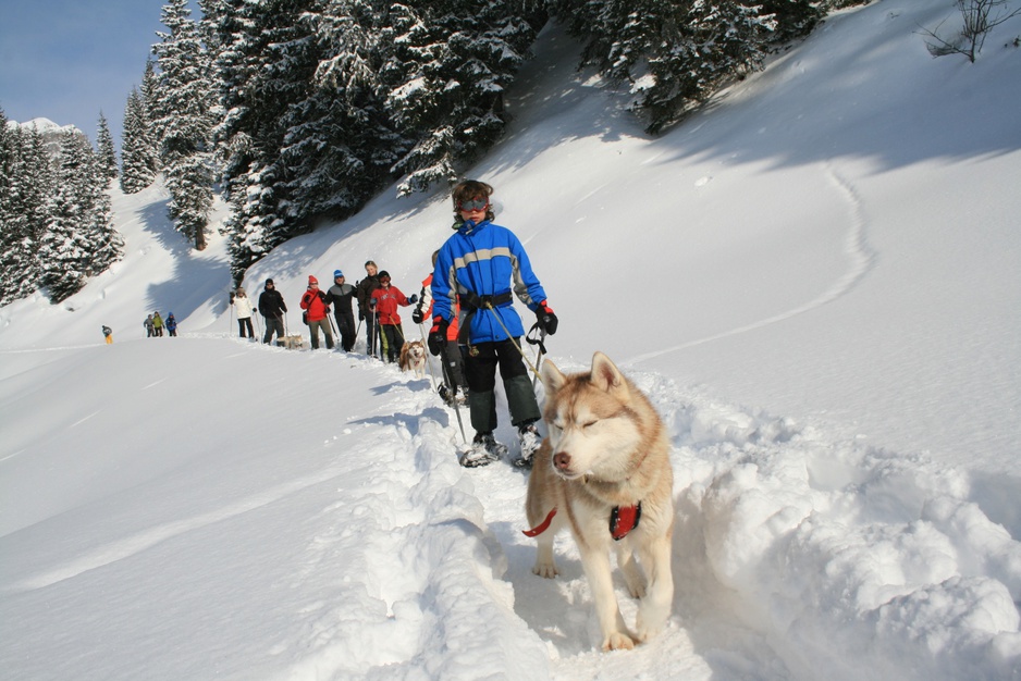 Husky riding