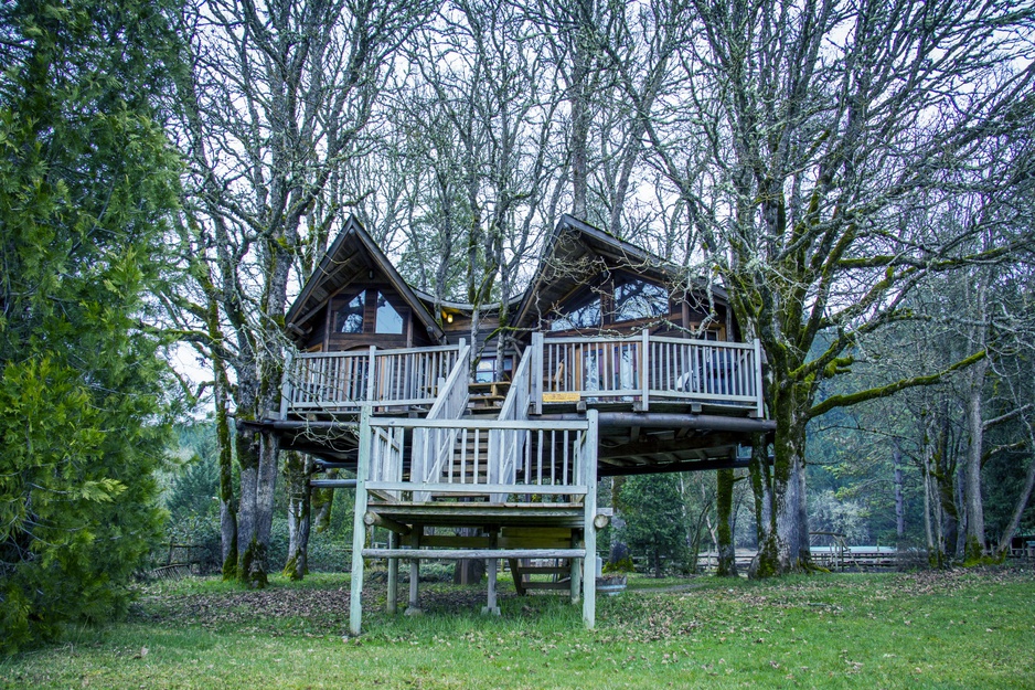 Suite tree house