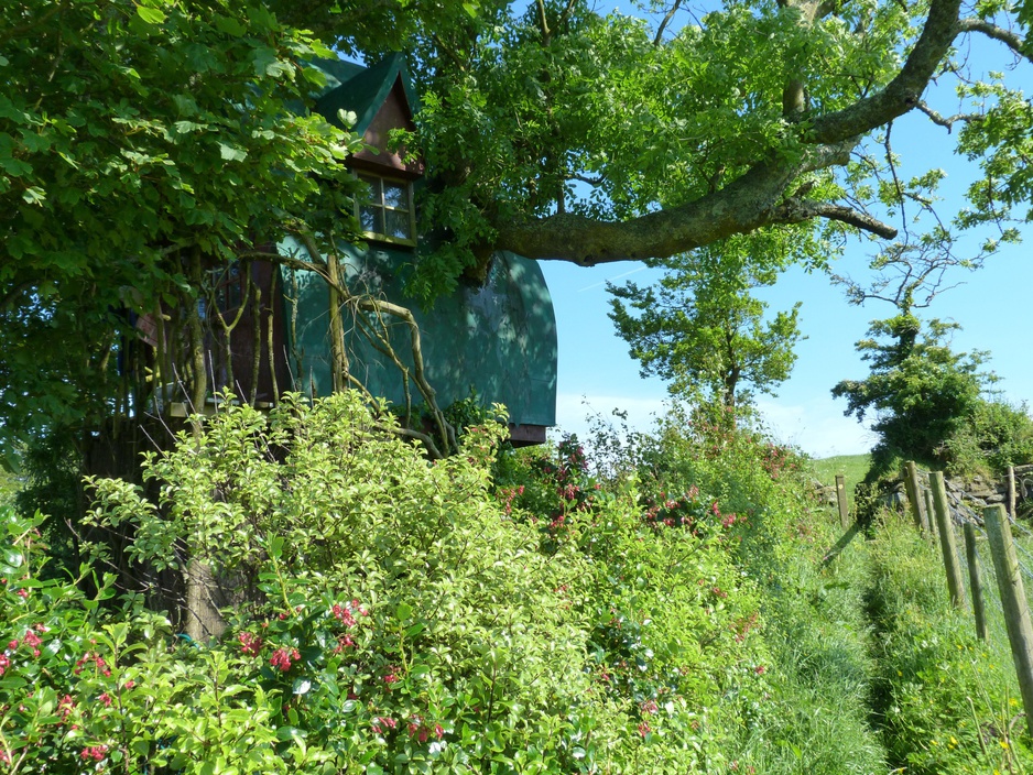 Tree Sparrow House side