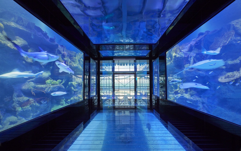 Paragraph Resort Big Blue Walk-Through Aquarium