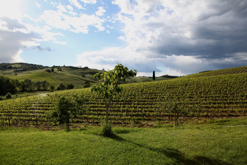 Tuscan hills