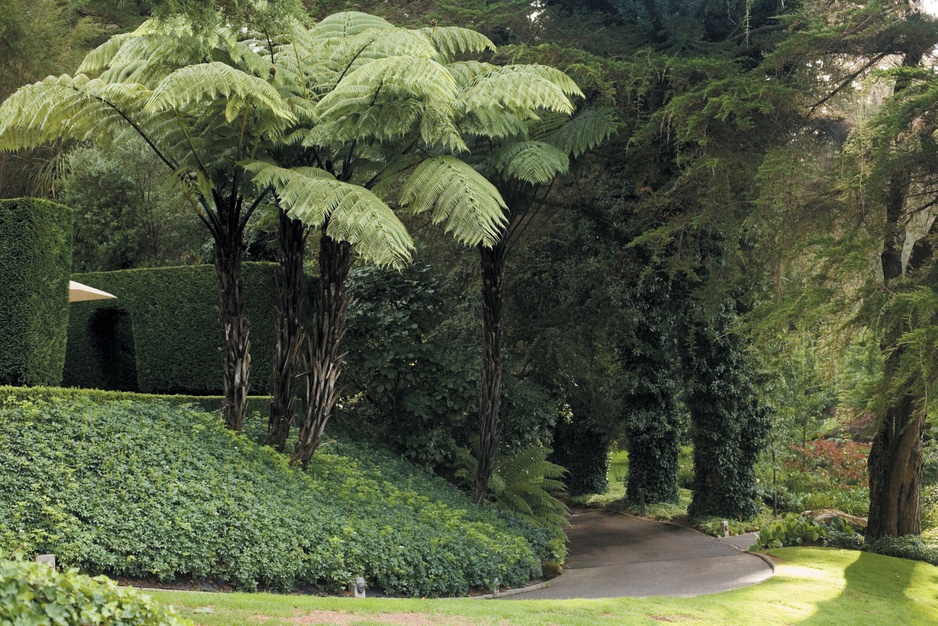 Huka Lodge green entrance