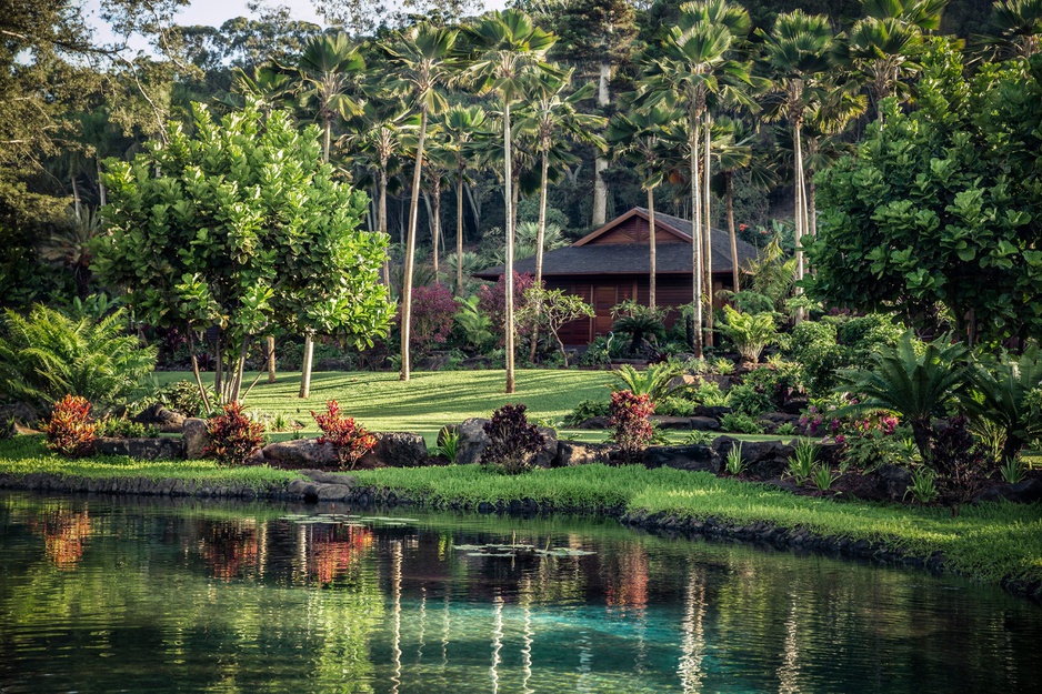 Sensei Lanai Lush Nature