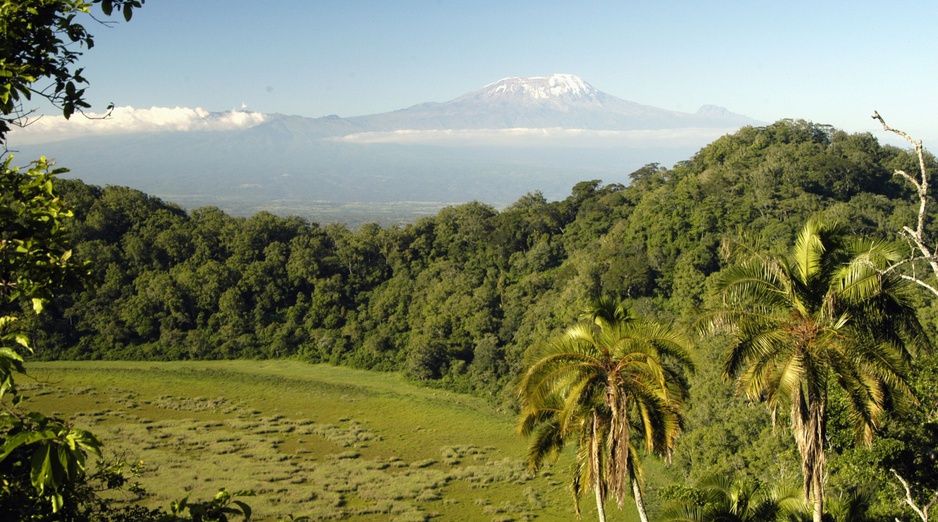 Tanzanian nature and Killimanjaro