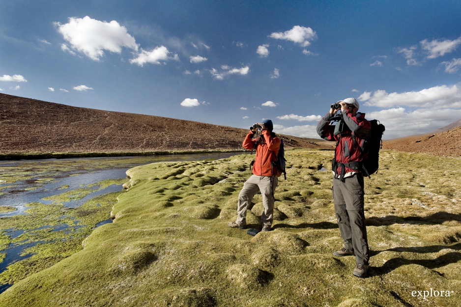 Exploring the nature of Chile