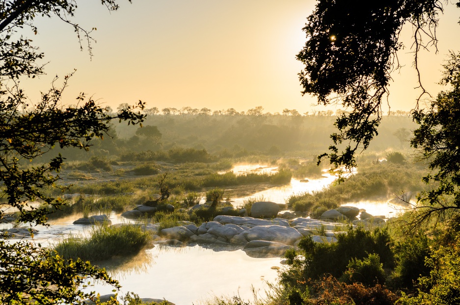 Singita Boulders wilderness