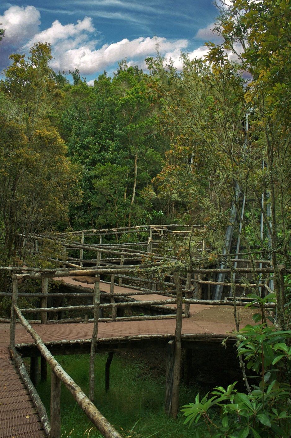 Espejo de Luna zig-zag paths in the nature