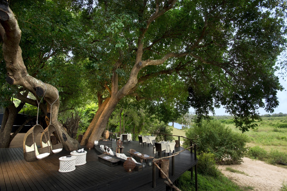 Terrace under the big tree