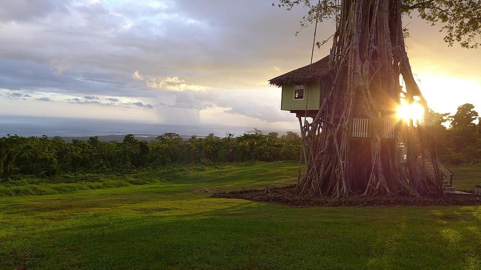 Lupe Sina Treehouse