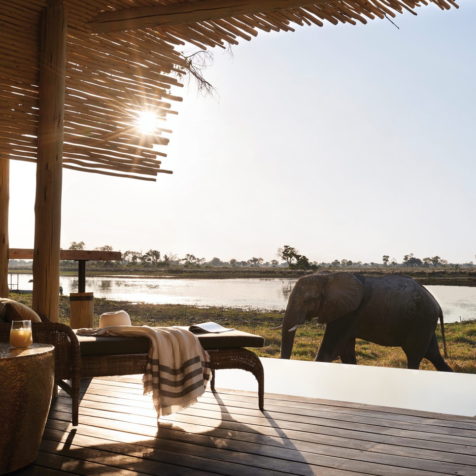 Belmond Eagle Island Lodge Elephant