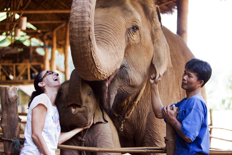 Playing with a kid and grown up elephant