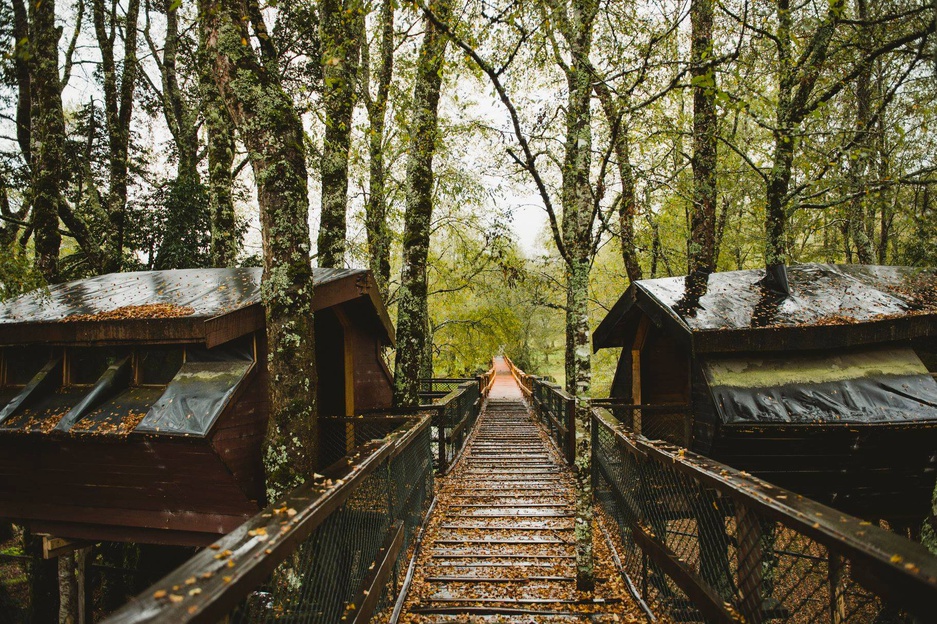 A wooden bridge leading to Canopy Village