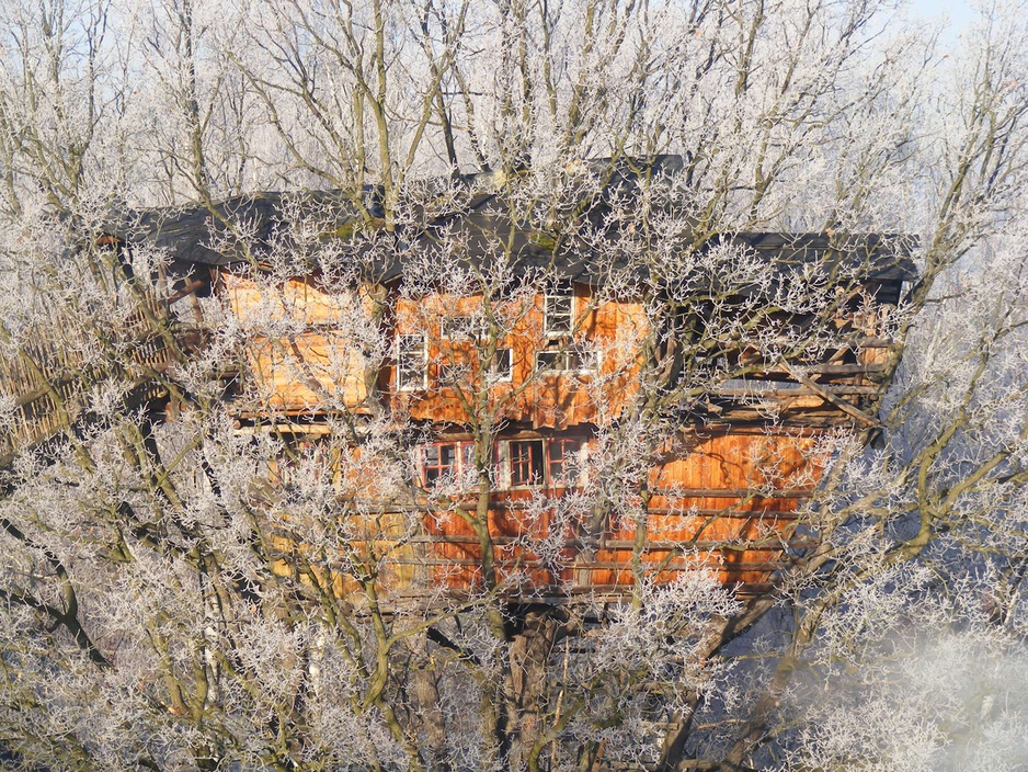 German treehouse hotel in the winter