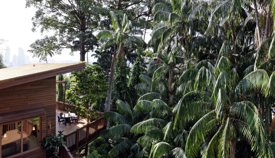 Tree Top Lofts in the jungle of Sentosa