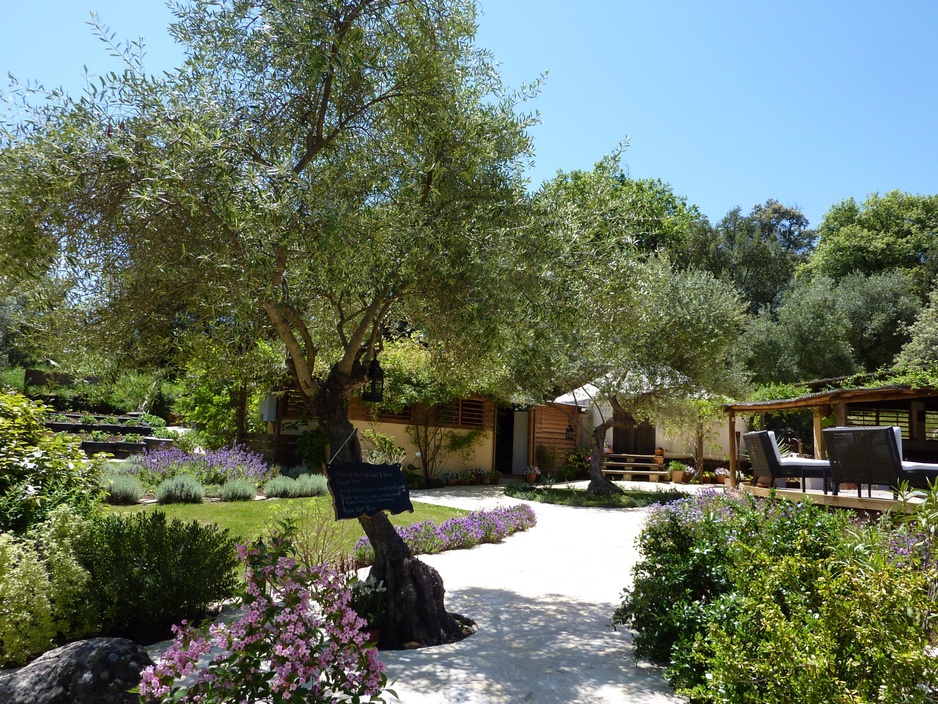 The Hoopoe Yurt Hotel courtyard