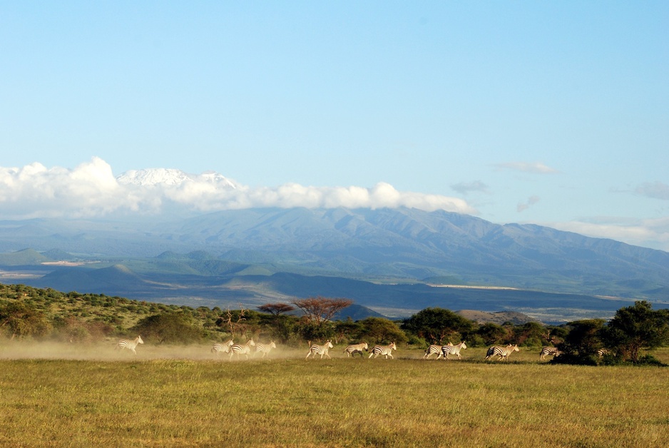 Arusha National Park