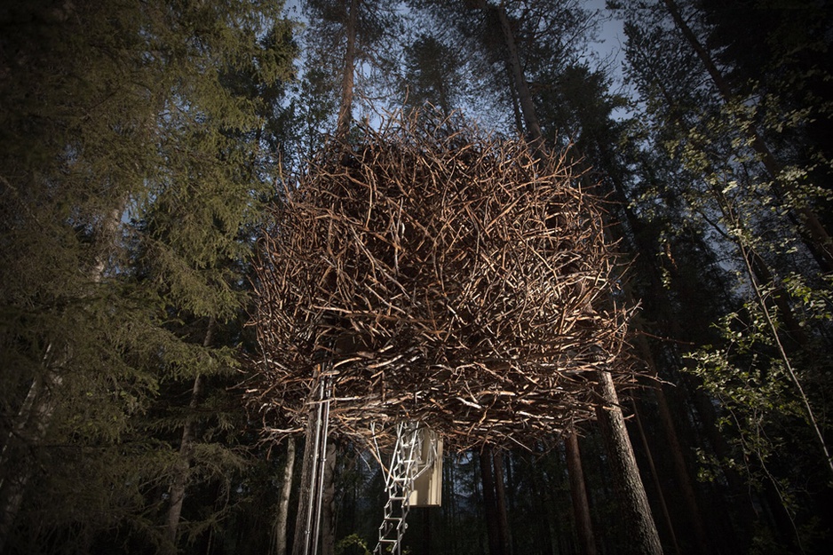 Bird's nest tree hotel