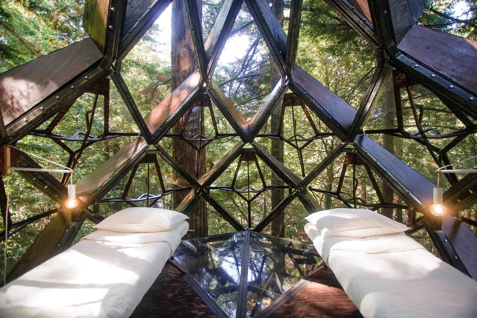 O2 Treehouse Pinecone Room Interior