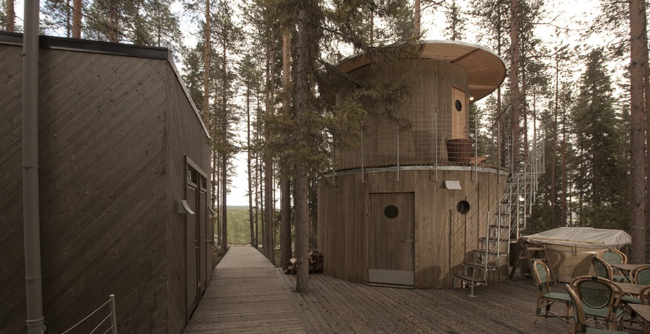 Tree house sauna