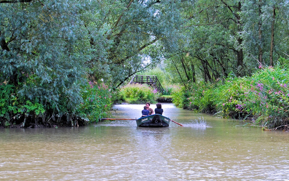 Stayokay Hostel Dordrecht Canoe