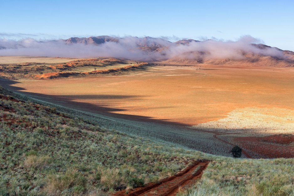 Namibian desert