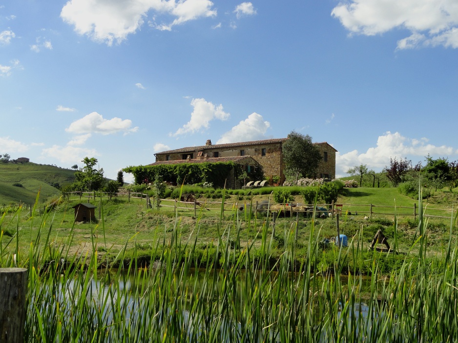 Follonico farmhouse