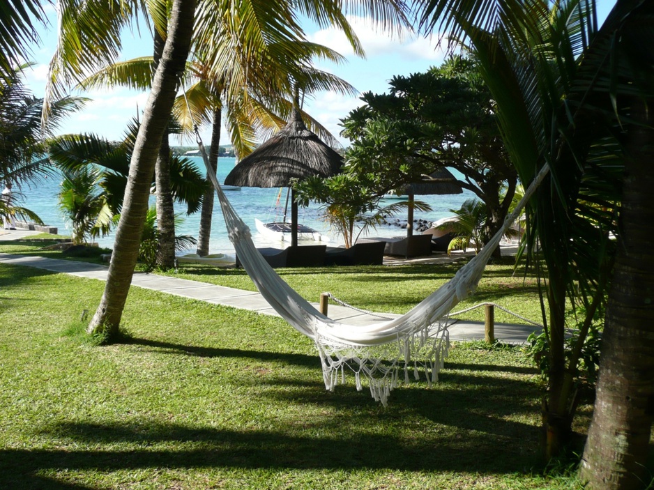 Hôtel 20° SUD hotel hammock in the garden