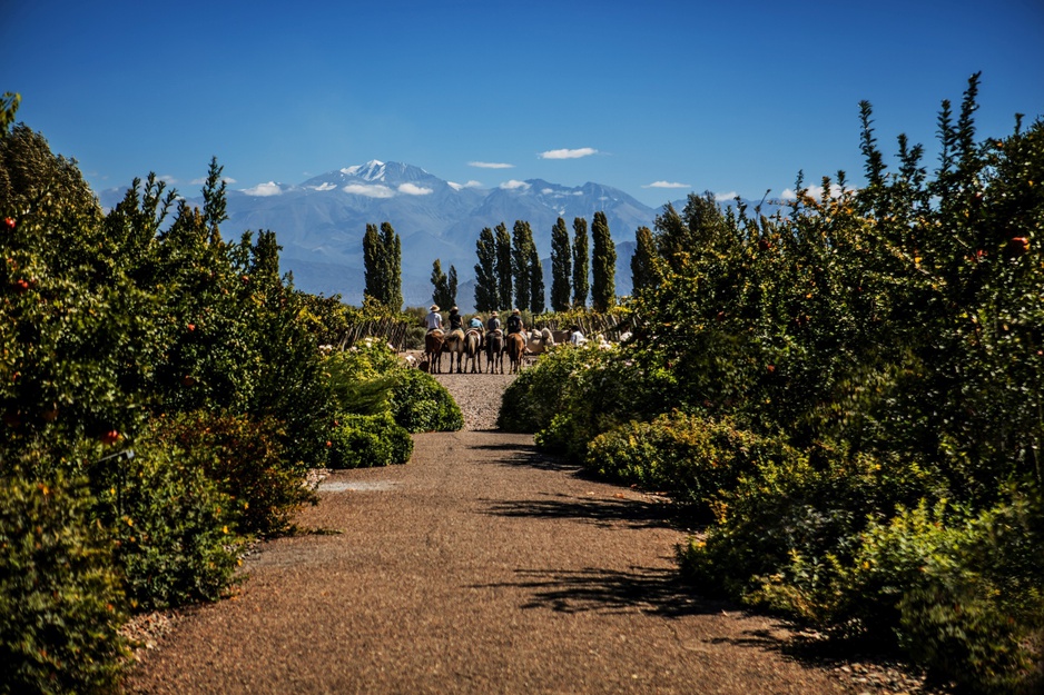 Cavas Wine Lodge Horseback Riding