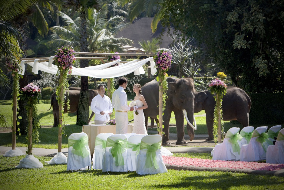 Wedding with elephants