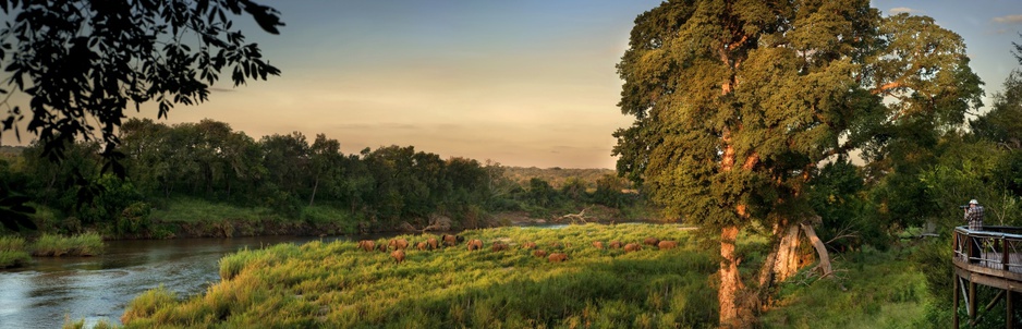 Sabie River with Elephants panorama