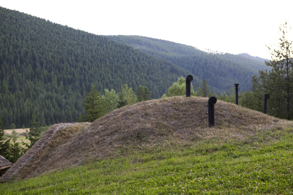 Hobbit House grass roof