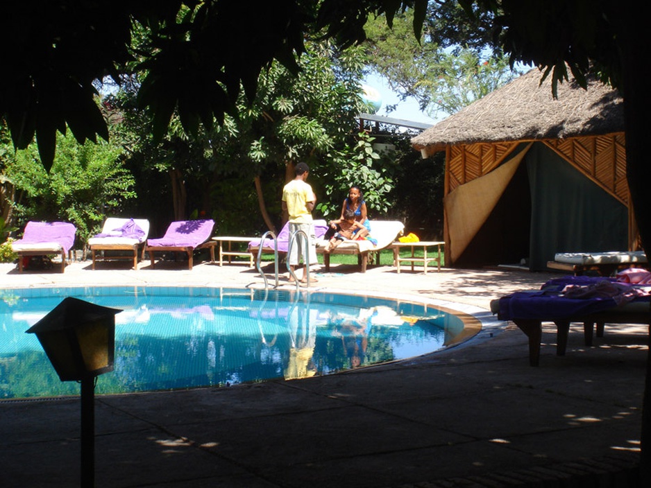 Safari Lodge Adama hotel pool sunbathing