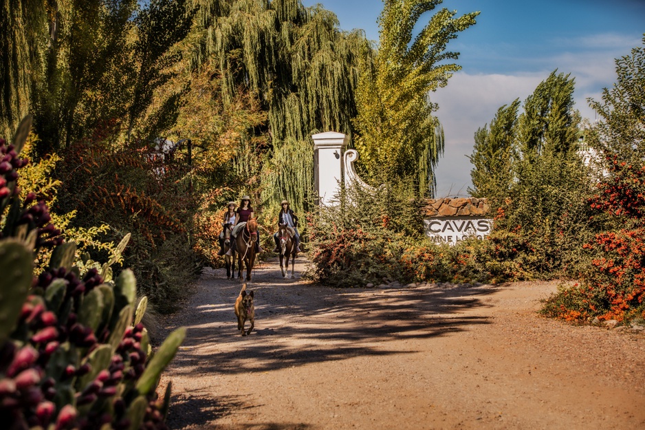 Cavas Wine Lodge Main Gate