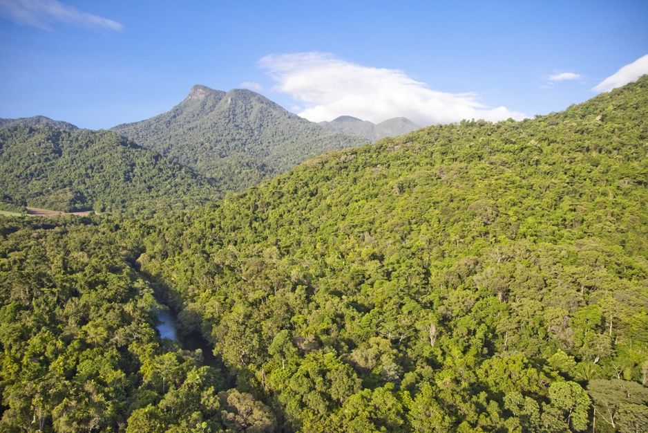 Mount Lewis National Park