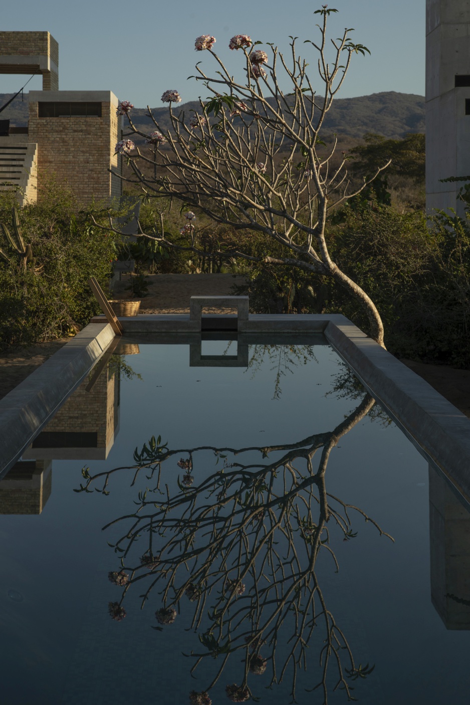 Hotel Terrestre outdoor pool