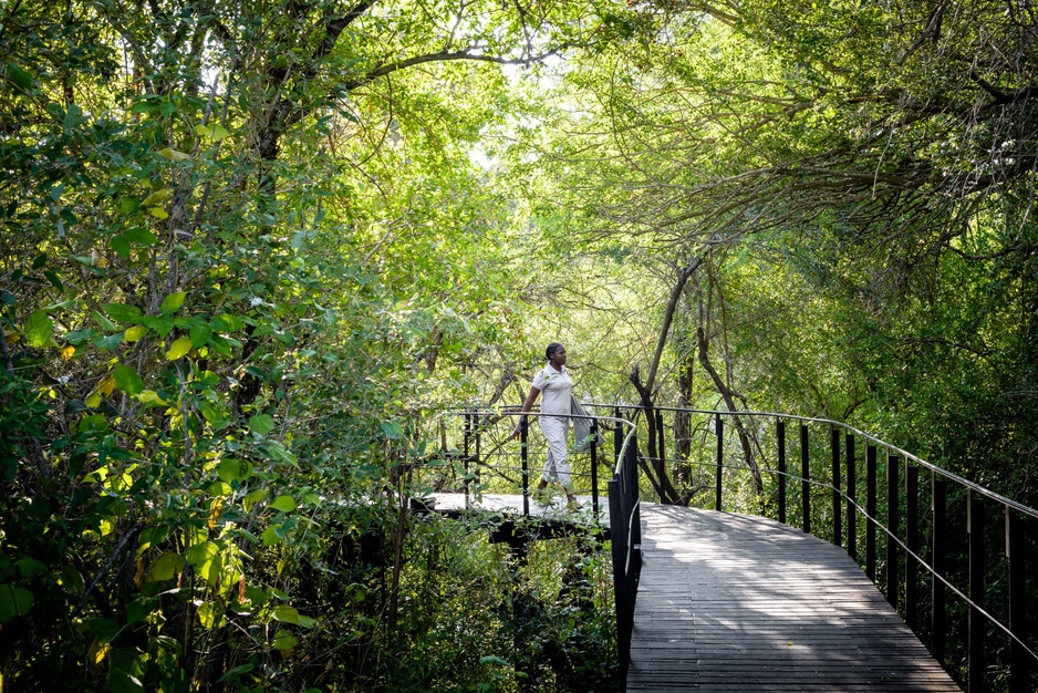 Singita Sweni Lodge bridge